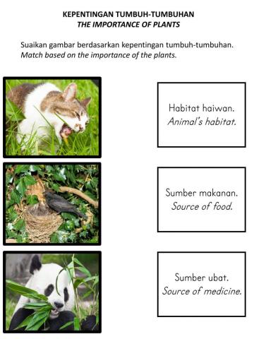 Kepentingan tumbuhan (sains tahun 2)