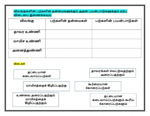 விலங்களின் பற்களின் தன்மைகளுக்கும் அதன் பயன்பாடுகளுக்கும் ஏற்ப விடையை இணைக்கவும்.