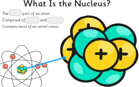 Building blocks of matter