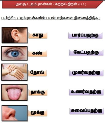 ஐம்புலன்கள்