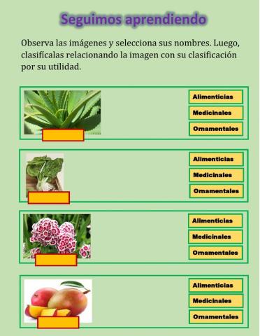 Utilidad de las plantas