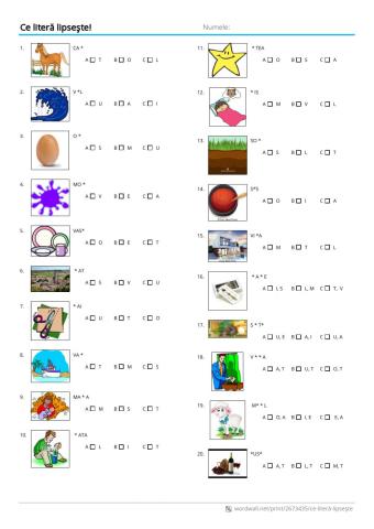 Ce litera lipseste?