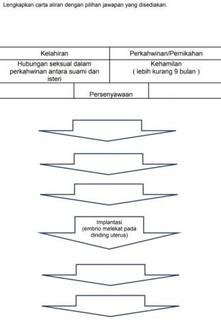 Kesihatan Fizikal