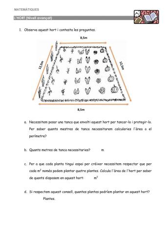 L'hort Nivell avançat (4t)