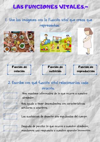 Las funciones vitales