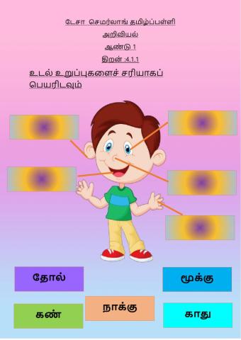 அறிவியல்