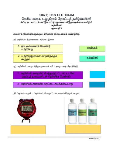 பற்கள்- ஆண்டு 3