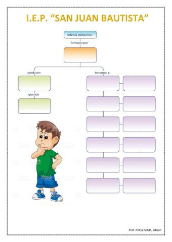 Sistema endocrino