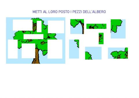 4  -  l'albero a pezzi