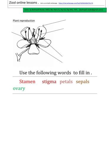 Grade 7 plant reproduction by Bothwell Riside