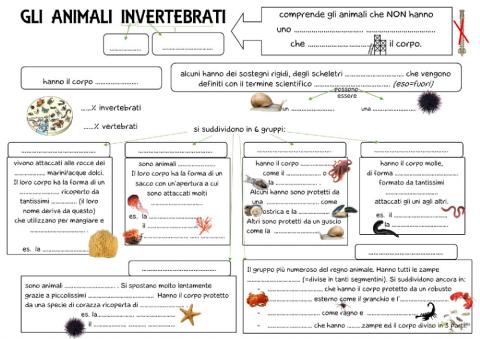 Invertebrati