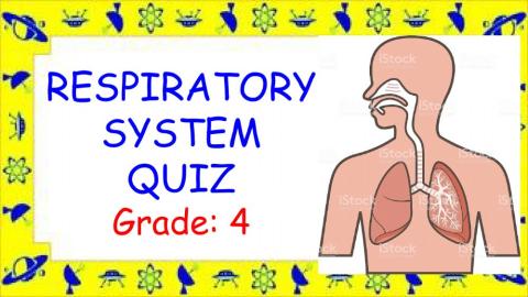 Respiratory System quiz