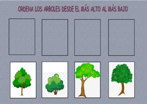 Ordena los arboles por su tamaño