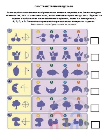 Пространствени представи