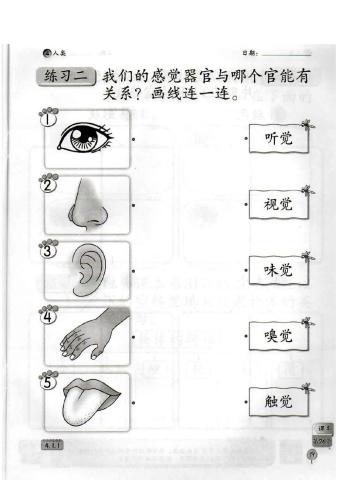 一年级科学活动本（单元4）