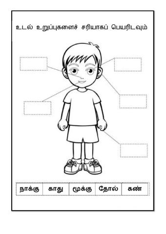 ஐம்புலன்கள்