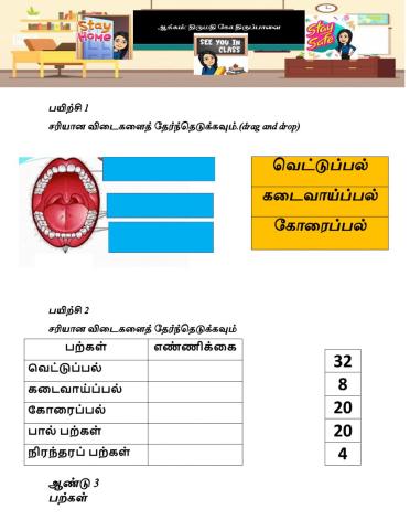 பற்கள் ஆக்கம்:திருமதி கோ.திருப்பாவை