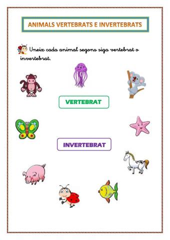 Animals VERTEBRATS e INVERTEBRATS