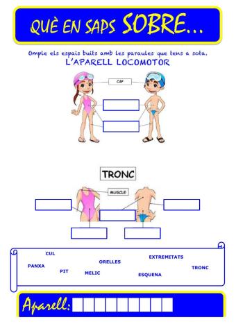 Que saps sobre... Aparell Locomotor-Parts del Cos 02