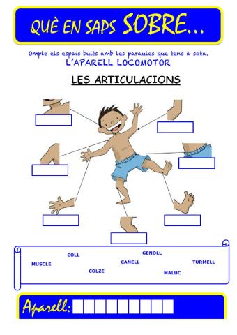 Que saps sobre... Aparell Locomotor-Articulacions