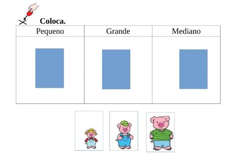 Coloca grande,mediano, pequeno