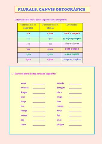 Plurals. canvis ortogràfics