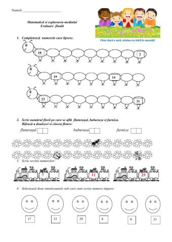 Evaluare finală