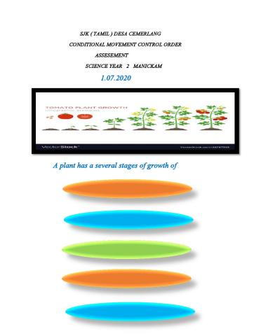 Stage of plants groth