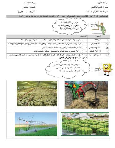 ورقة  تطور الزراعة