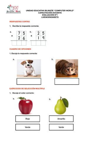 Practica cpacitación