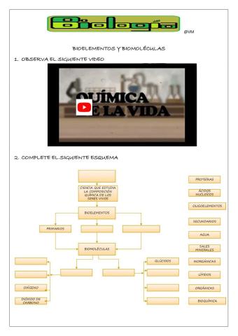 Bioelementos y biomoléculas