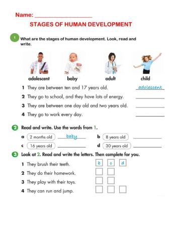 Stages of human development