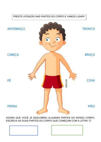 Partes do corpo