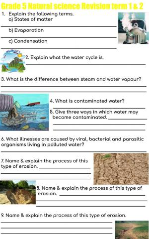 Grade 5 revision term 1 & 2