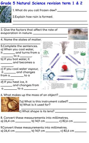 Grade 5 revision term 1 & 2