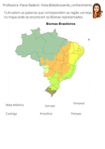 Biomas Brasileiros