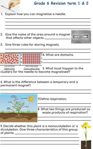 Grade 6 Revision term 1 & 2