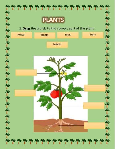 Parts of the plant