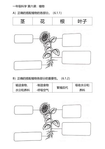 一年级科学