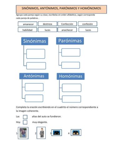 Sinónimos, antónimos, parónimos, homónimos