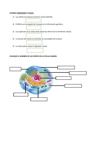 LA CÉLULA UNIDAD DE VIDA