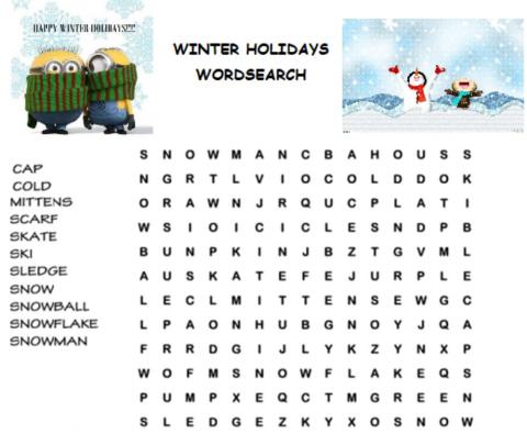 Winter holidays wordsearch