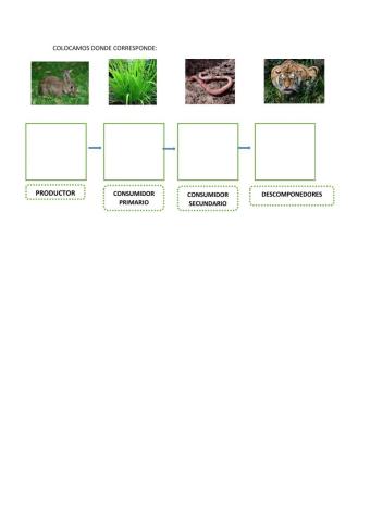 Cadena alimenticia