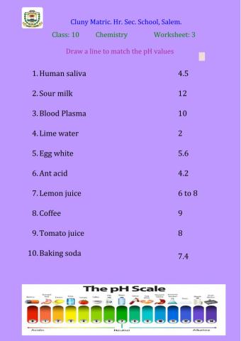 Class 10 Chemistry 3