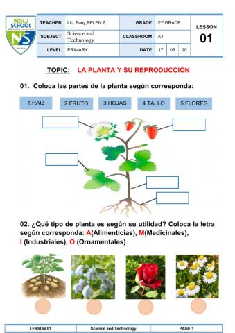 La planta