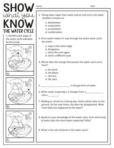 The Water Cycle Quiz