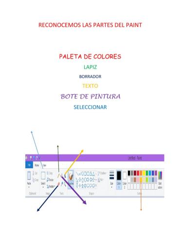 Partes del Paint