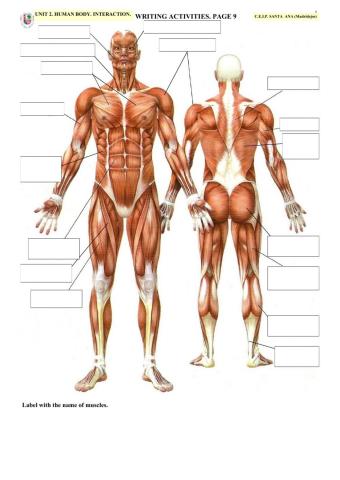 HUMAN BODY. INTERACTION. Page 9