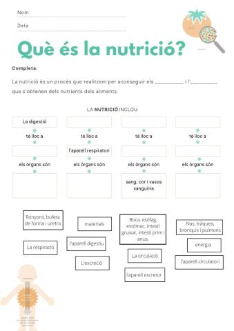 Què és la nutrició?