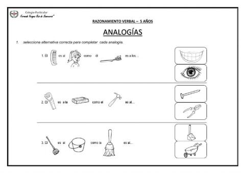 Razonamiento verbal